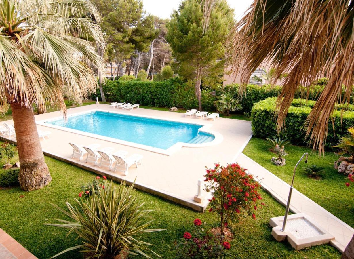 Apartment Drac Blanc 1-3 Cala Ratjada (Mallorca)